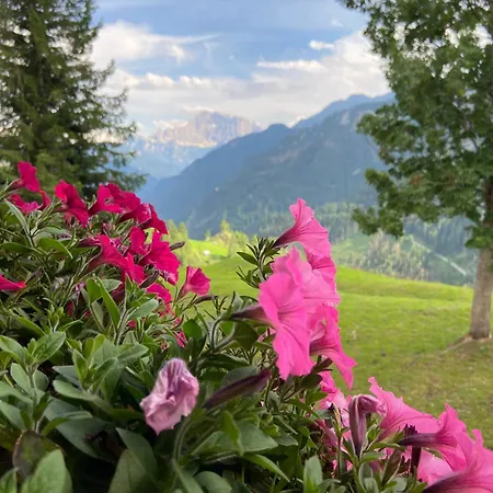 Tabia Del Belli Holiday home