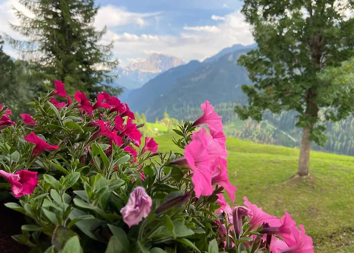 Tabia Del Belli Holiday home